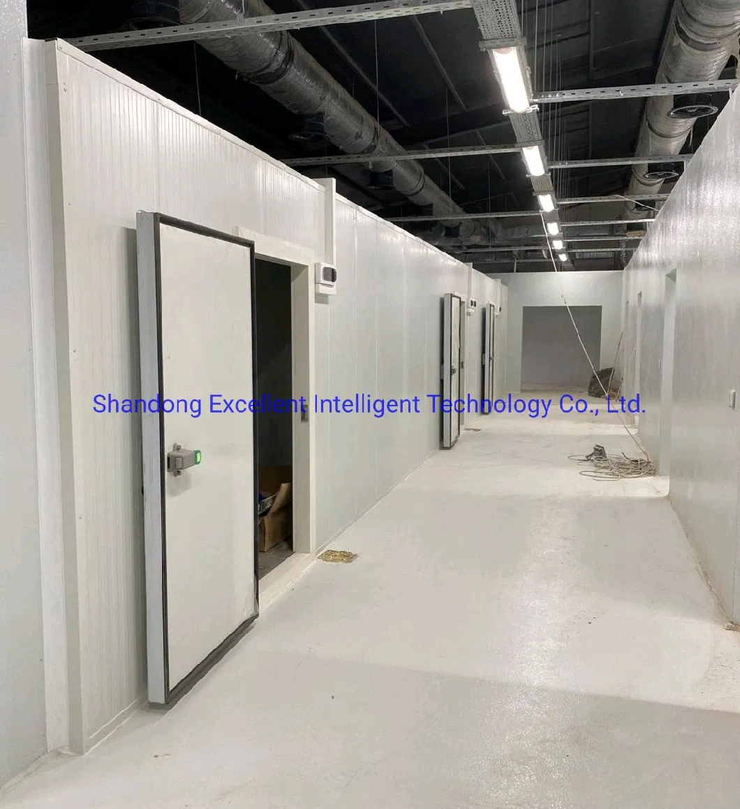 Refrigeration Equipment Walk in Chiller Cold Room Freezers Cold Storage